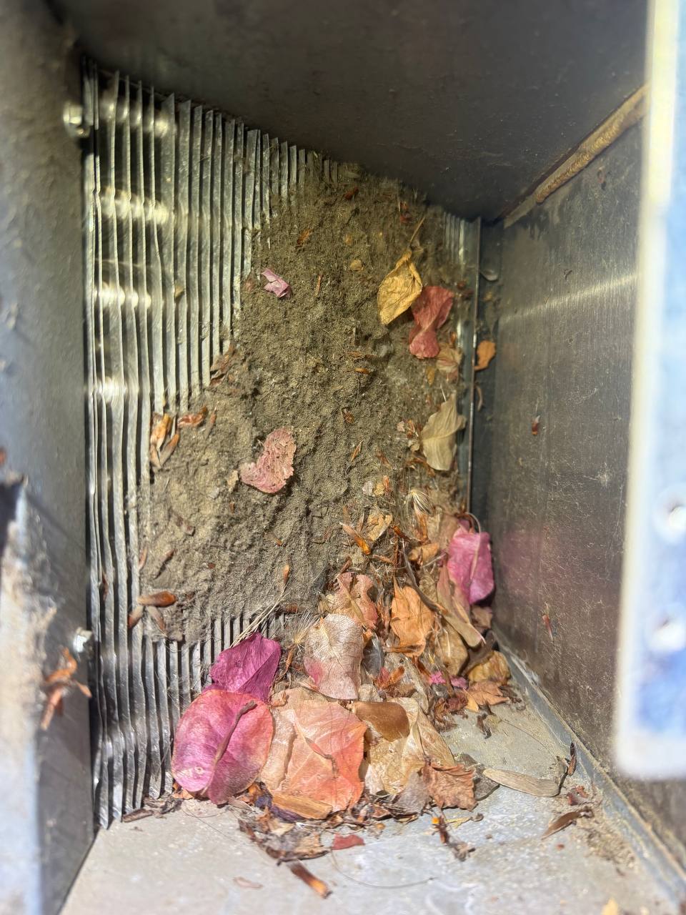U-Line outdoor ice maker condenser coil packed with dust and dried leaves, before cleaning